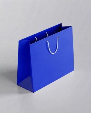 LARGE SIZE PAPER BAG